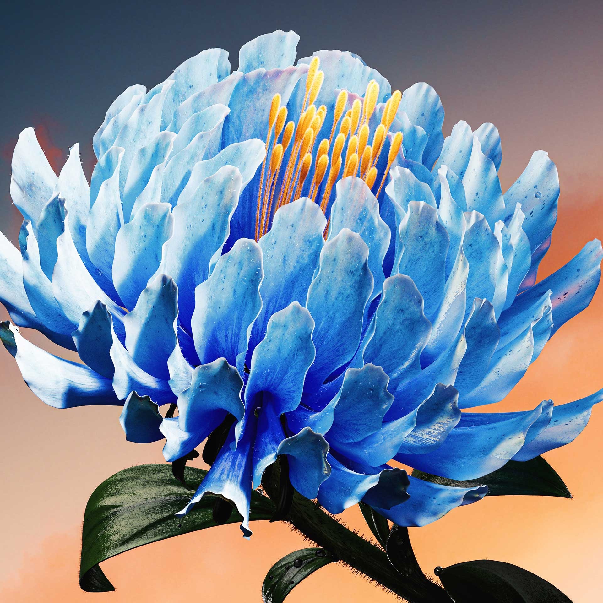 Procedural Flowers
